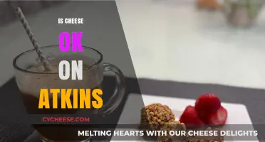 Is Cheese Allowed on Atkins? A Guide to Low-Carb Dairy