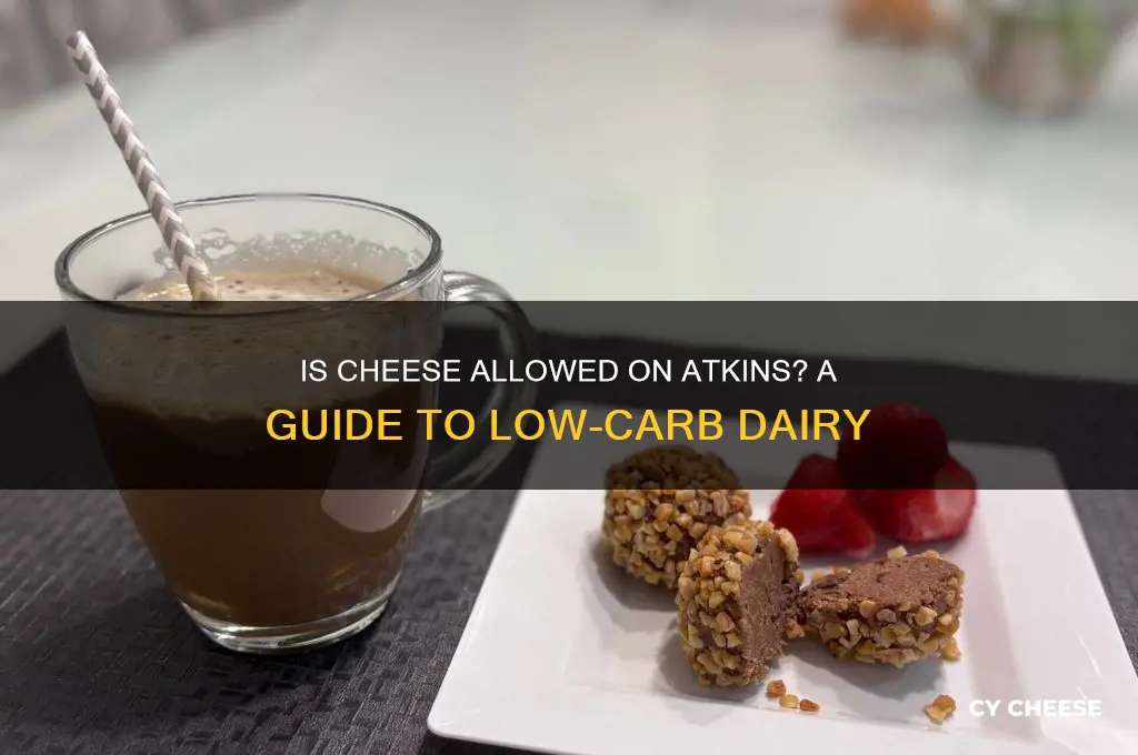 is cheese ok on atkins