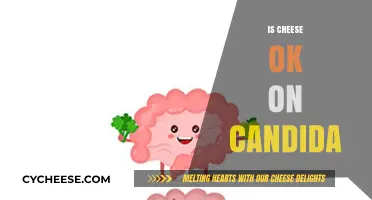 Can You Eat Cheese on a Candida Diet? Facts and Tips