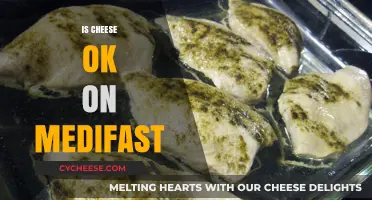 Can You Eat Cheese on Medifast? A Diet-Friendly Guide