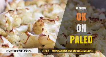 Is Cheese Paleo-Friendly? Unraveling the Dairy Dilemma in Paleo Diets