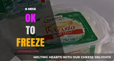 Can You Freeze Cheese? A Guide to Preserving Dairy Delights