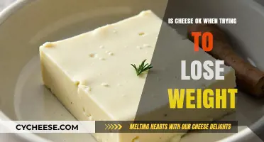 Can You Eat Cheese and Still Lose Weight? The Truth Revealed
