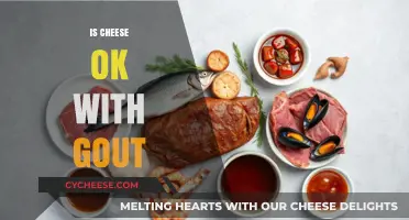 Is Cheese Safe for Gout? Understanding Dairy's Role in Uric Acid