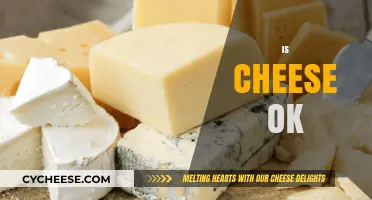 Is Cheese Healthy? Debunking Myths and Facts About Cheese Consumption