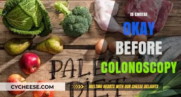 Can You Eat Cheese Before a Colonoscopy? Expert Advice Revealed