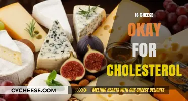 Cheese and Cholesterol: Balancing Flavor with Heart Health
