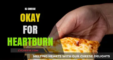 Can Cheese Trigger Heartburn? Unraveling the Dairy Dilemma for Relief