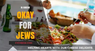 Is Cheese Kosher? Exploring Jewish Dietary Laws and Dairy Rules
