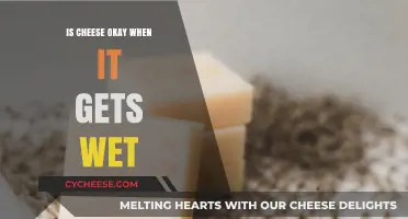 Cheese and Moisture: What's the Deal?