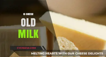 Is Cheese Just Aged Milk? Unraveling the Dairy Transformation