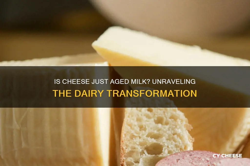 is cheese old milk