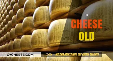 Is Cheese Old? Unraveling the Age-Old Mystery of Dairy Delights