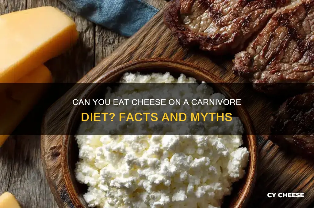 is cheese on carnivore diet