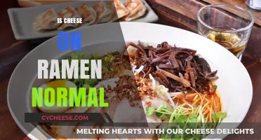 Is Cheese on Ramen Normal? Exploring Global Ramen Topping Trends