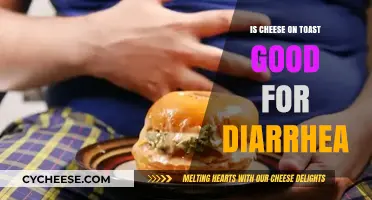 Cheese on Toast: Friend or Foe for Diarrhea?