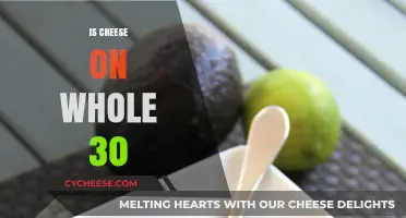 Can You Eat Cheese on Whole30? The Surprising Truth Revealed