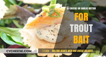 Cheese vs. Garlic: Which Bait Attracts Trout Better?