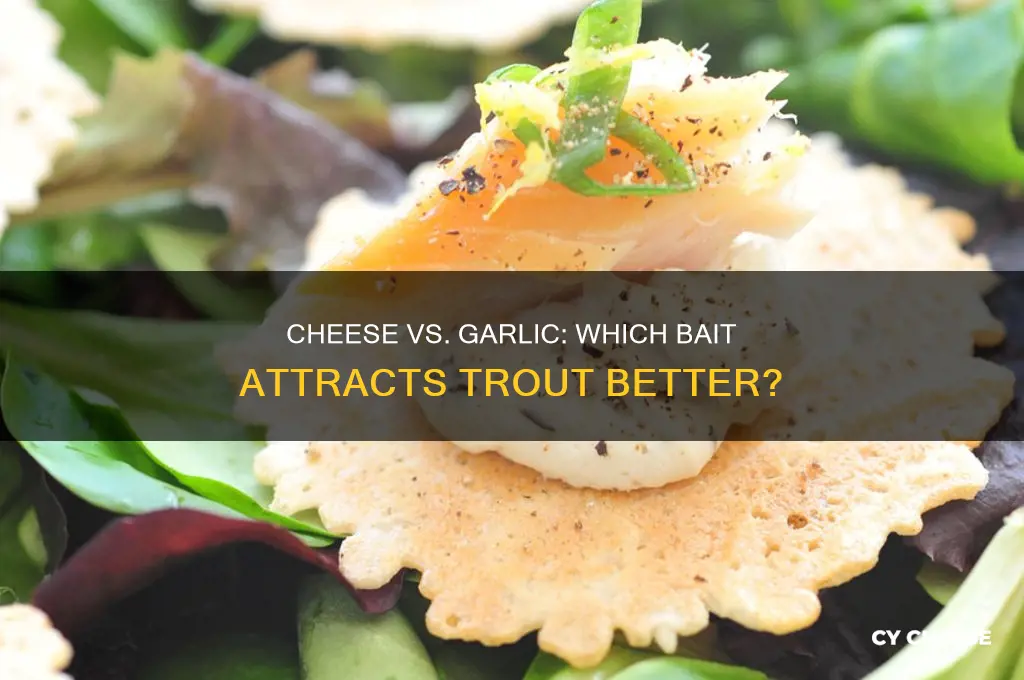 is cheese or garlic better for trout bait