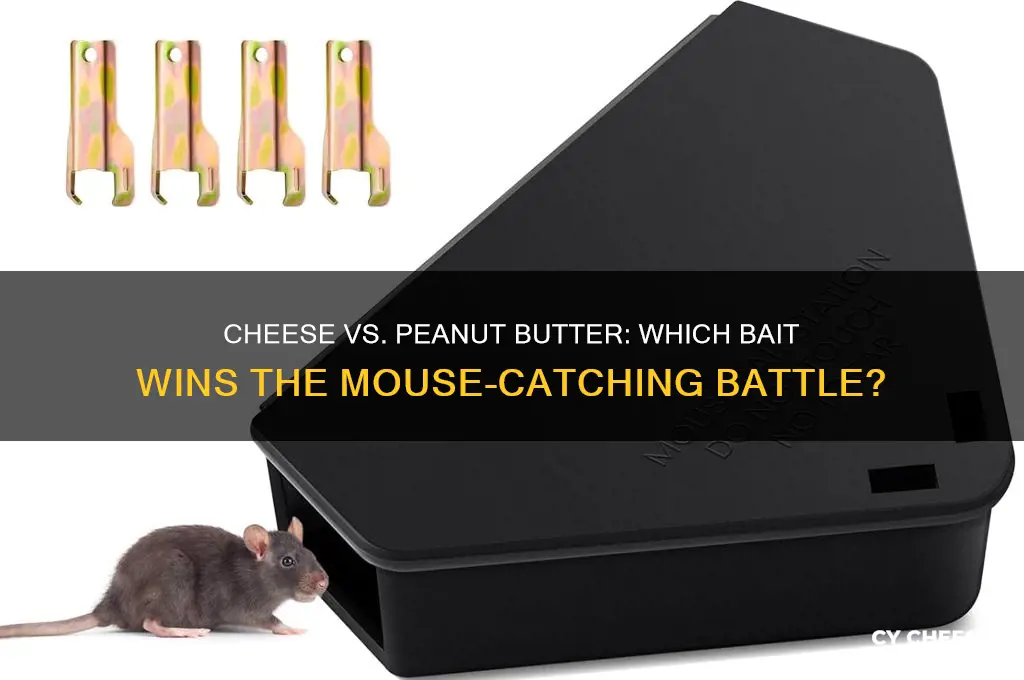 is cheese or peanut butter better to catch a mouse