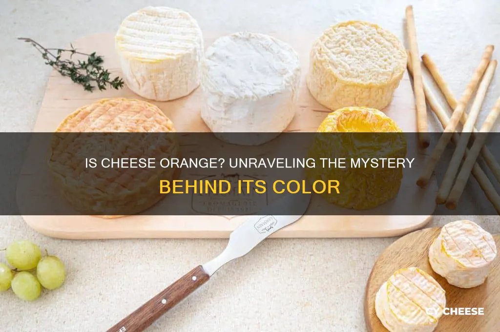 is cheese orange