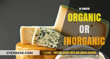 Is Cheese Organic or Inorganic? Unraveling the Dairy Mystery