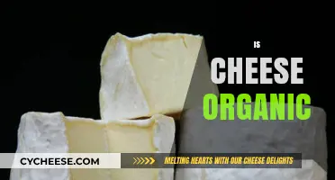 Is Cheese Organic? Exploring the Truth Behind Dairy Production