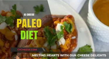 Is Cheese Paleo? Unraveling Dairy's Place in the Paleo Diet