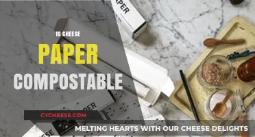 Is Cheese Paper Compostable? Eco-Friendly Disposal Tips Revealed