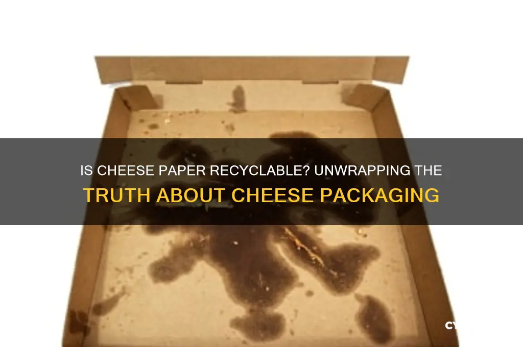 is cheese paper recyclable