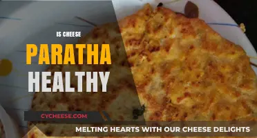 Cheese Paratha: Healthy or Unhealthy?