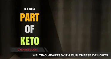 Is Cheese Keto-Friendly? Unraveling Its Role in the Ketogenic Diet