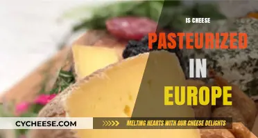 Is European Cheese Pasteurized? Exploring Dairy Regulations Across Europe
