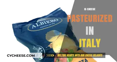Is Italian Cheese Pasteurized? Exploring Traditional Practices in Italy