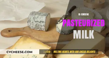 Is Cheese Made from Pasteurized Milk? Unraveling the Dairy Process