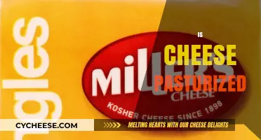 Is Cheese Pasteurized? Understanding the Process and Its Impact
