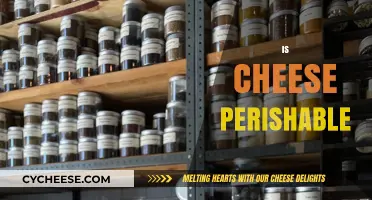 Is Cheese Perishable? Understanding Shelf Life and Storage Tips