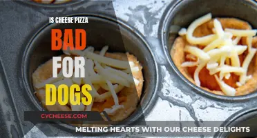 Can Dogs Safely Enjoy Cheese Pizza?