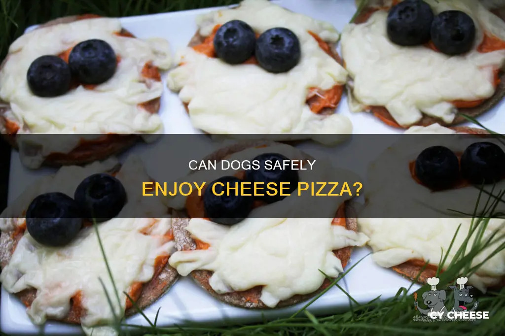 is cheese pizza bad for dogs