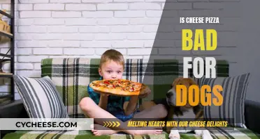 Cheese Pizza: A Dog Owner's Conundrum