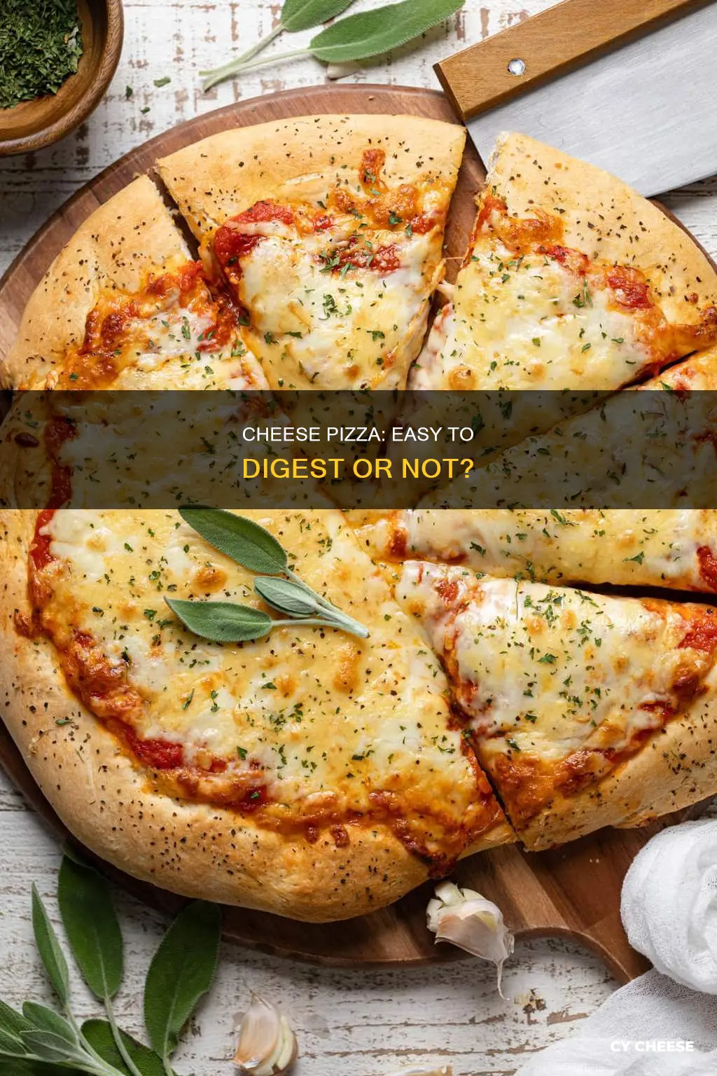 is cheese pizza easy to digest