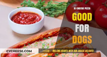 Cheese Pizza: A Dog's Best Friend?