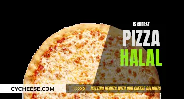 Cheese Pizza: Halal or Haram?