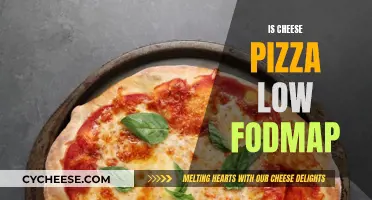 Cheese Pizza: A Low-FODMAP Diet Delicacy?