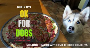 Cheese Pizza and Dogs: A Safe Combination?