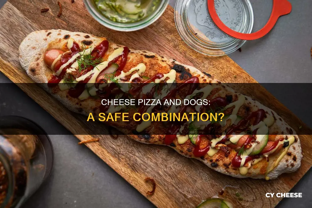 is cheese pizza ok for dogs