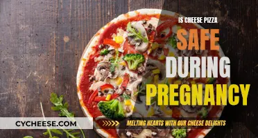 Cheese Pizza and Pregnancy: Safe Indulgence or No?