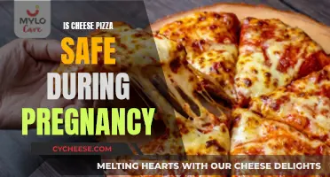 Cheese Pizza: Safe Indulgence During Pregnancy?
