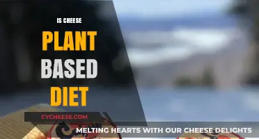 Is Cheese Plant-Based? Exploring Dairy's Place in Vegan Diets