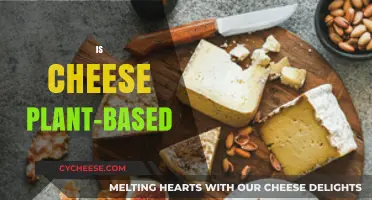 Is Cheese Plant-Based? Unraveling the Dairy-Free Diet Dilemma